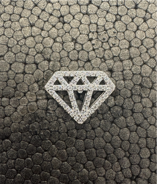 The Nisarga Silver Brooch